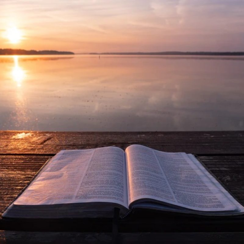 Daily Meditation