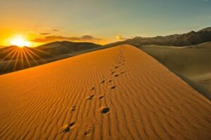 They Moved Before They Knew: Lech Lecha — A Jewish Journey Through Africa