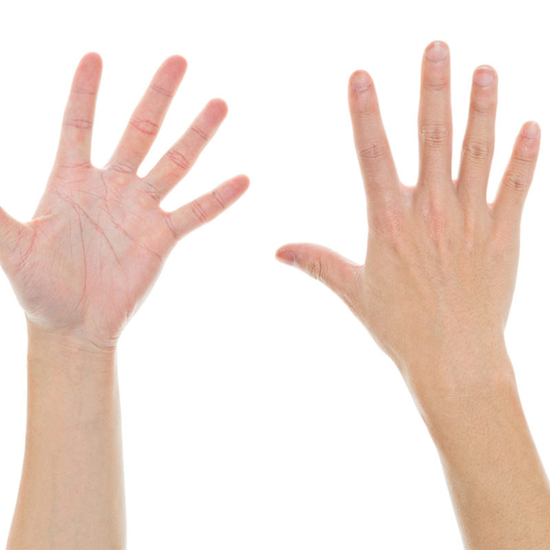 Hands