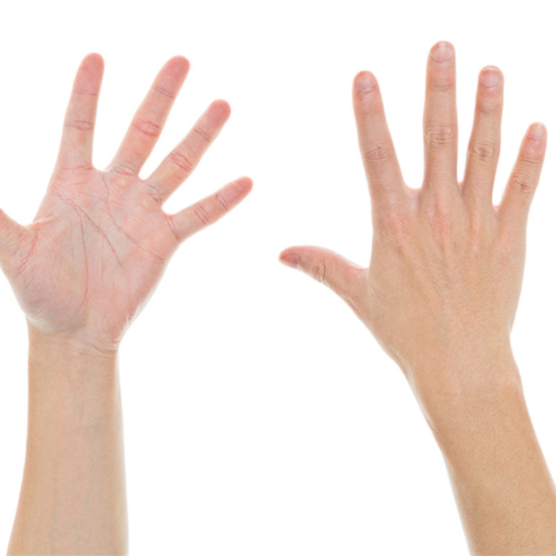 Hands