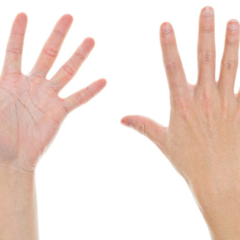Hands