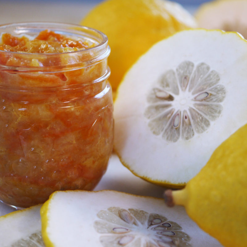 Etrog Marmalade