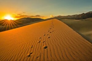 Shabbat Passover Reflection: After we left Egypt, did Egypt leave Us?