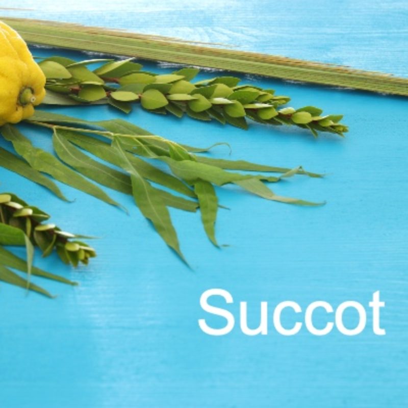 Succot