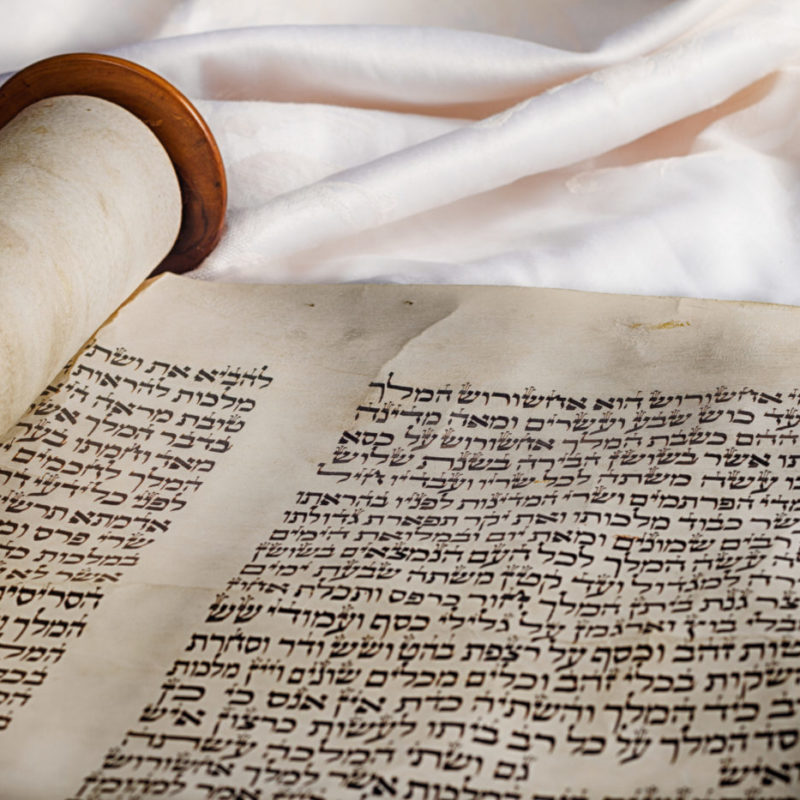 Torah Scroll