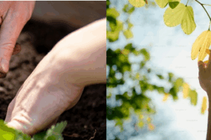 What Freedom Tastes Like