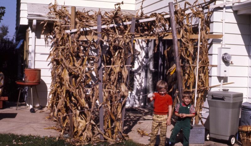 Andy's Childhood Succah