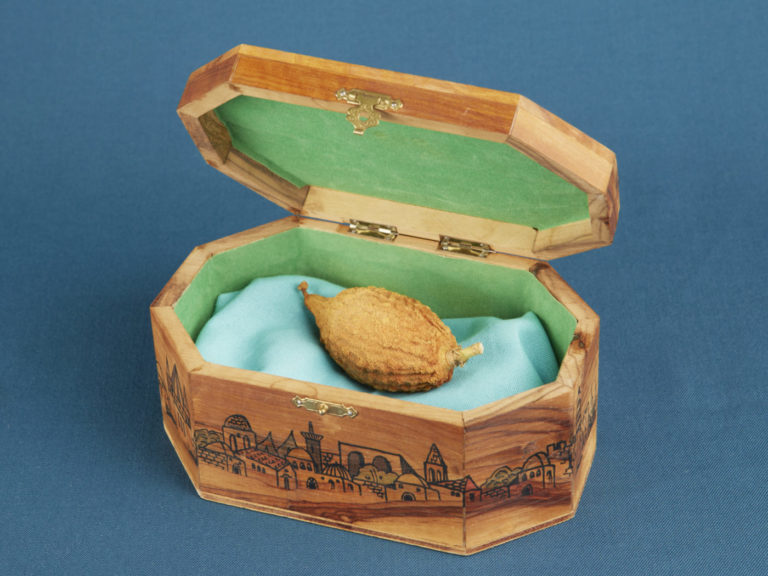 Etrog Box