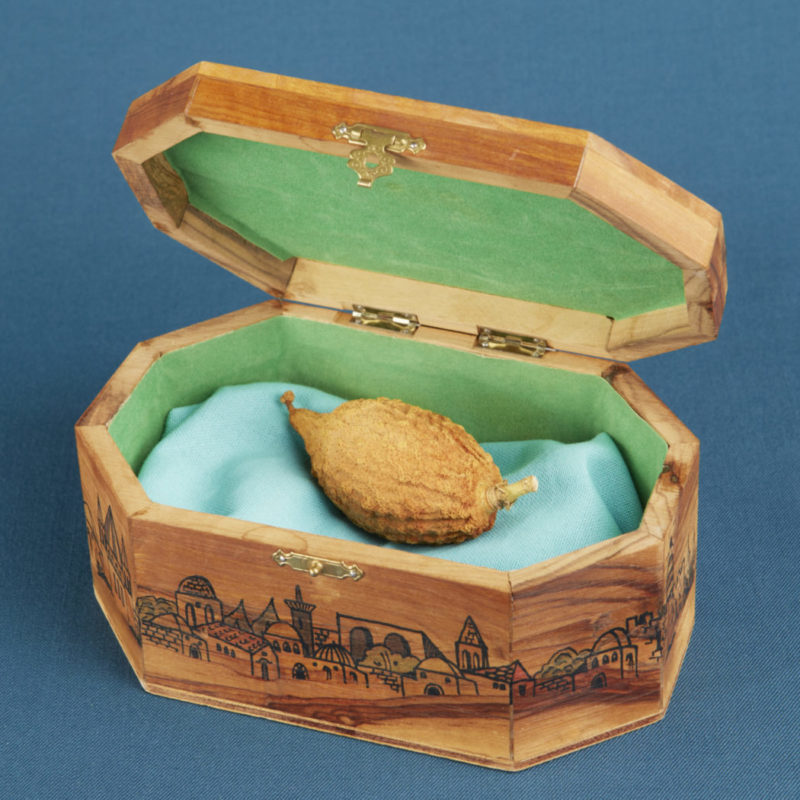 Etrog Box