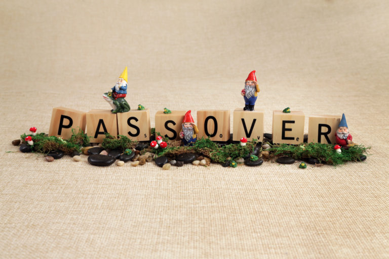 Passover Gnomes