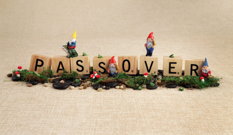 Passover Gnomes