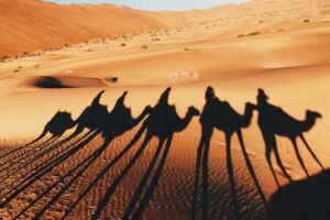 The Hardest Thing I Did Not Do