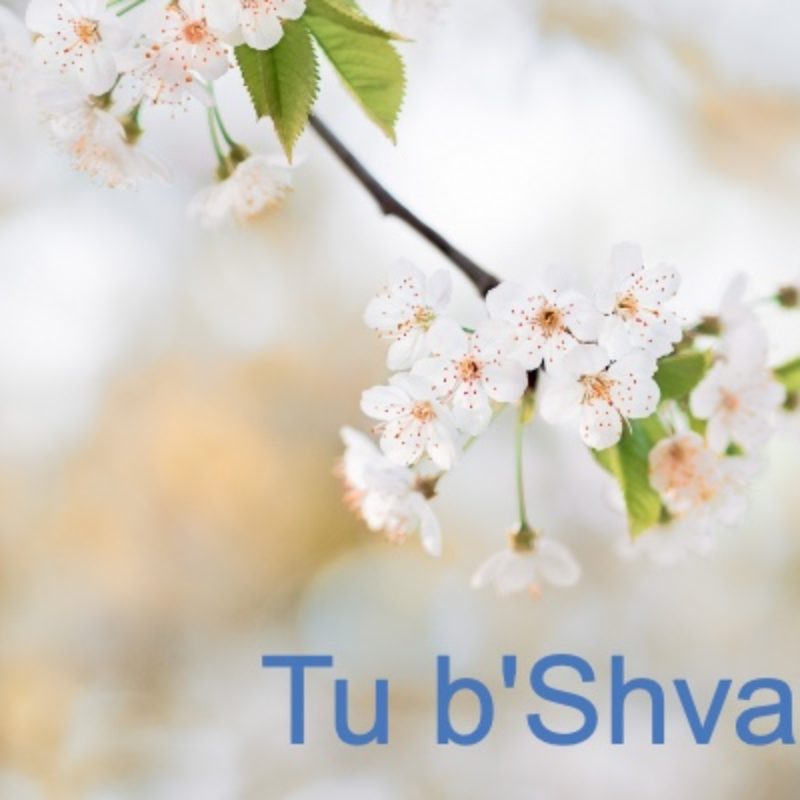 Tu b'Shvat