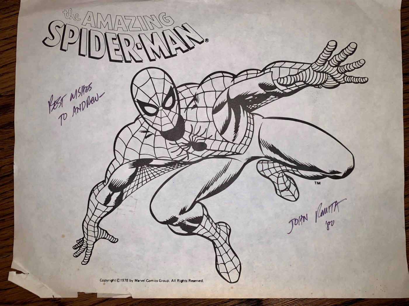 Spiderman Illustration