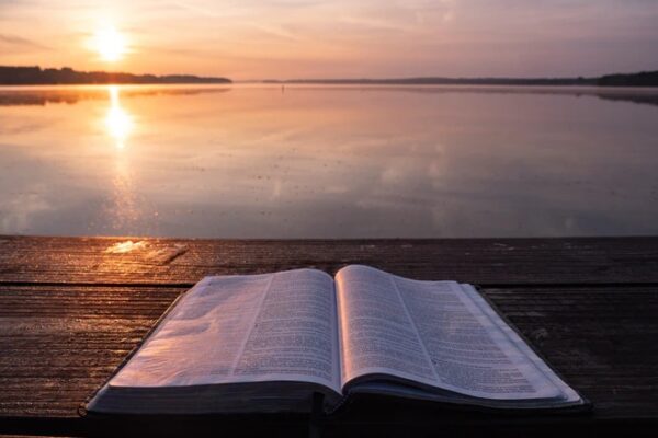 Developing Daily Gratitude  3/20/20