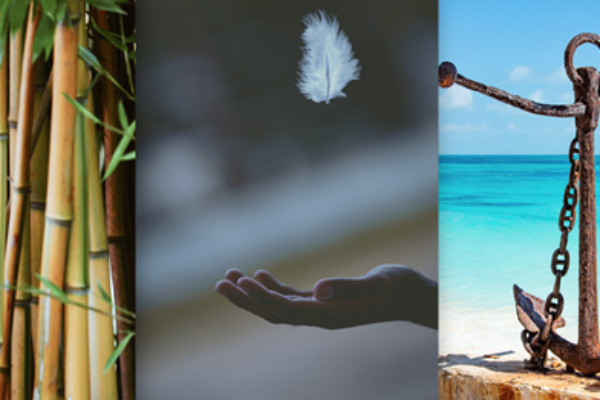 Philosophy Breaking Matzo